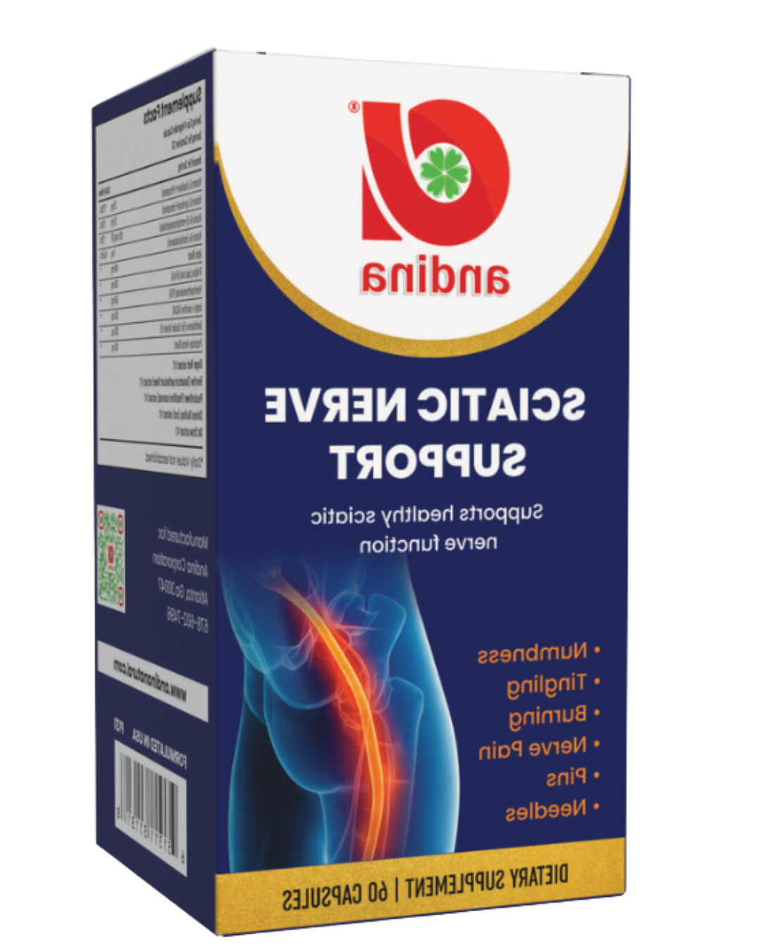 Sciatic Nerve Support_60 caps (2)